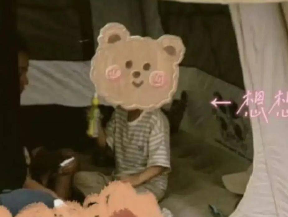 想想坐行李箱不要太萌母子俩露营超惬意澳门新葡京网站赵丽颖带娃游上海5岁(图7)