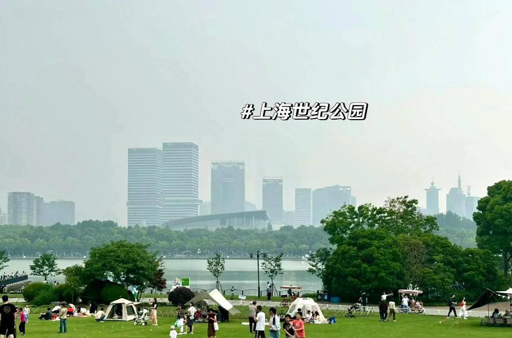 想想坐行李箱不要太萌母子俩露营超惬意澳门新葡京网站赵丽颖带娃游上海5岁(图10)