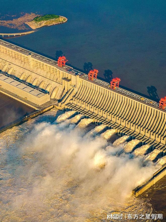 ！这 10 家靠谱机构凭诚信经营圈粉新葡